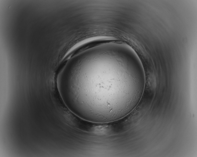 X0000093470461200710121428