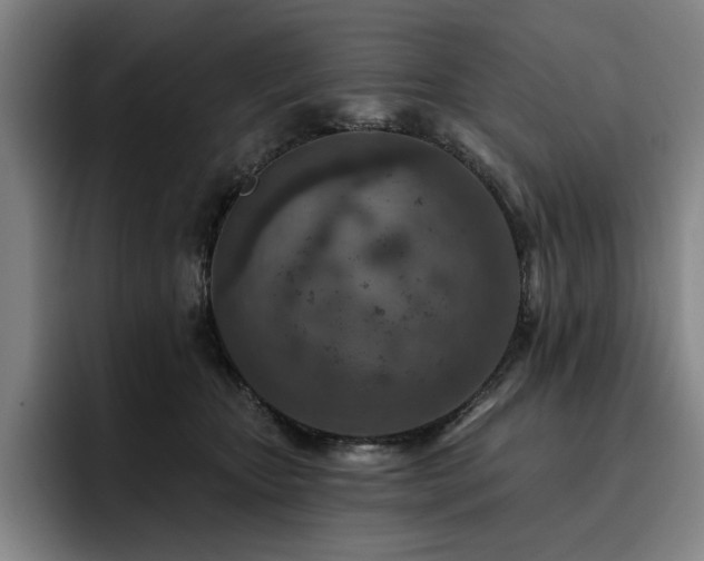 X0000093470467200710121428