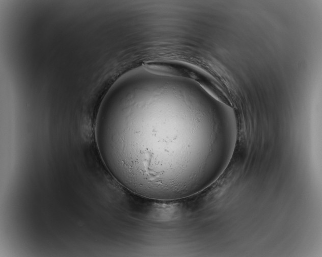 X0000093470469200710121428