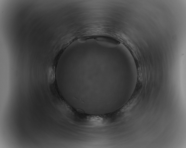 X0000093470471200710121428