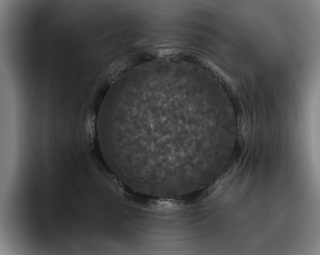 X0000093470475200710121428