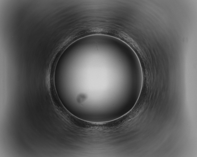X0000093470482200710121428