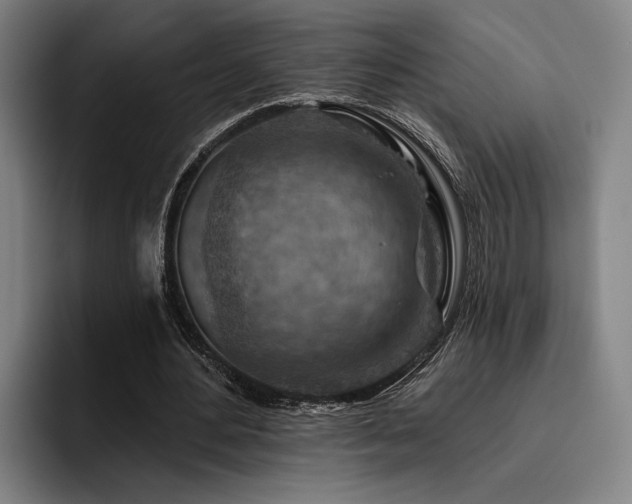 X0000093470484200710121428