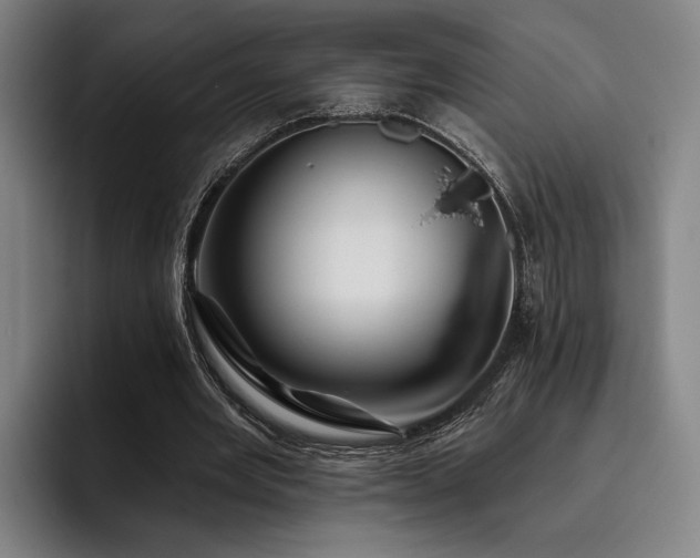 X0000093470485200710121428