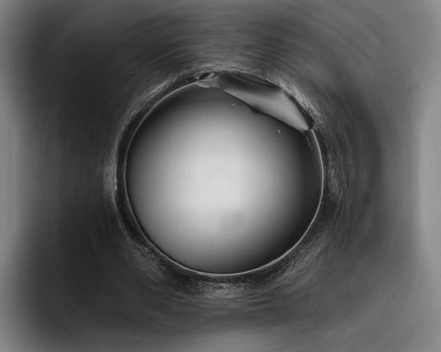 X0000093470486200710121428