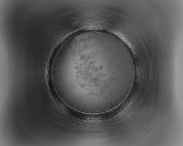X0000093470487200710121428