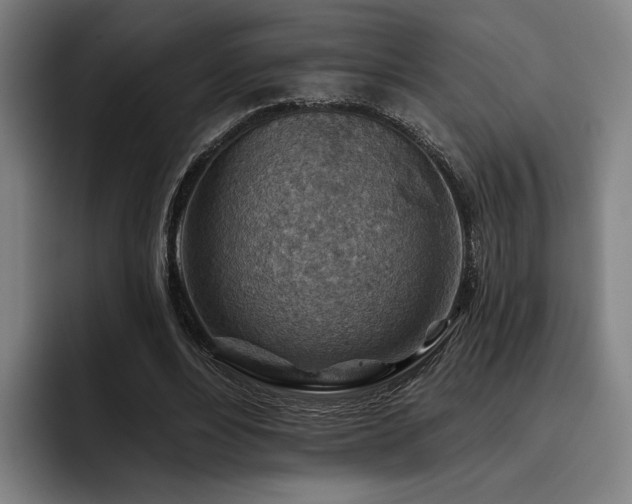 X0000093470488200710121428