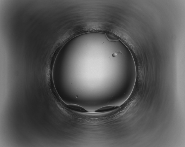 X0000093470489200710121428