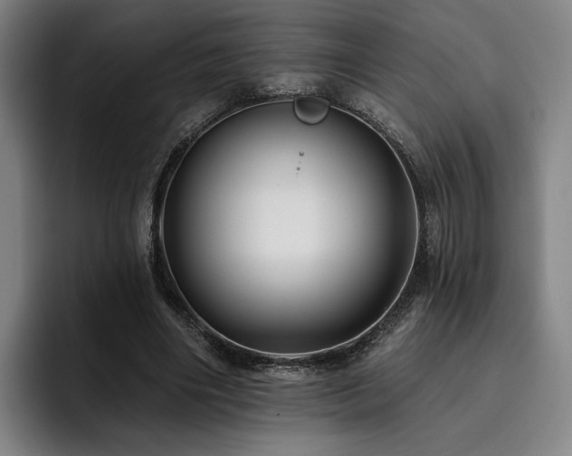 X0000093470490200710121428