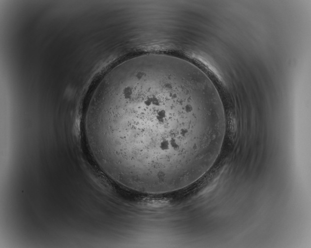 X0000093470491200710121428