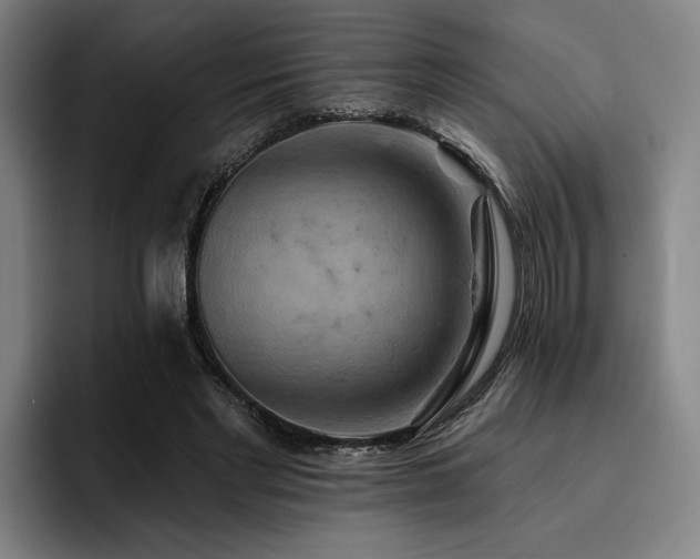 X0000093470493200710121428