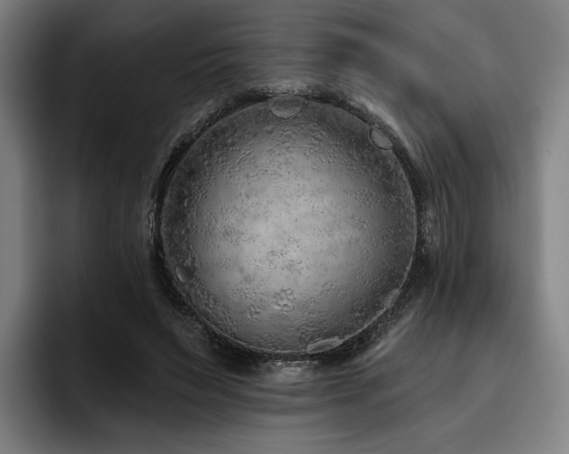 X0000093470495200710121427