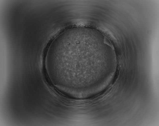 X0000093470496200710121427