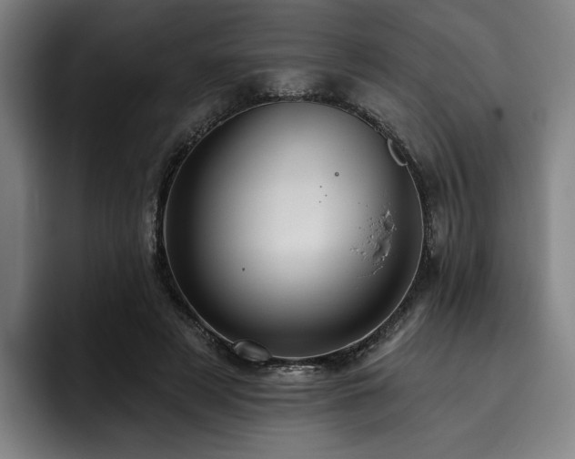 X0000093470497200710121427