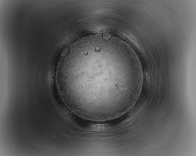 X0000093470499200710121427
