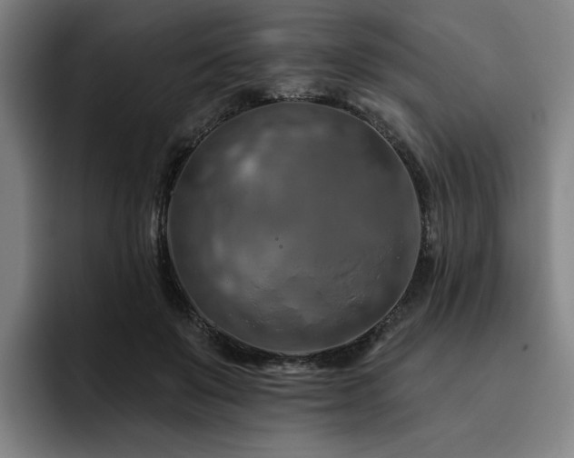 X0000093470503200710121427