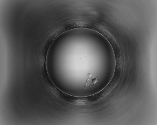 X0000093470505200710121427
