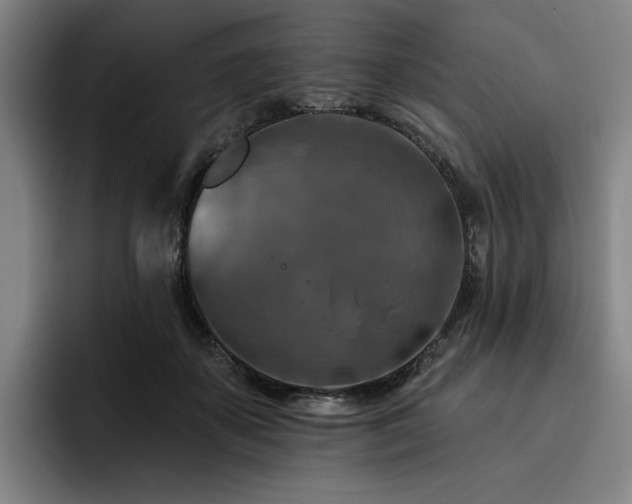 X0000093470507200710121427