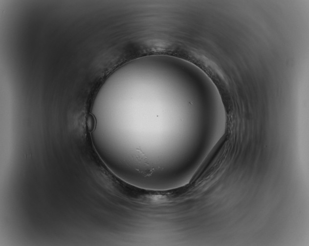 X0000093470509200710121427