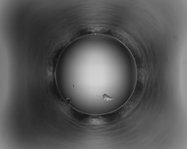 X0000093470510200710121427