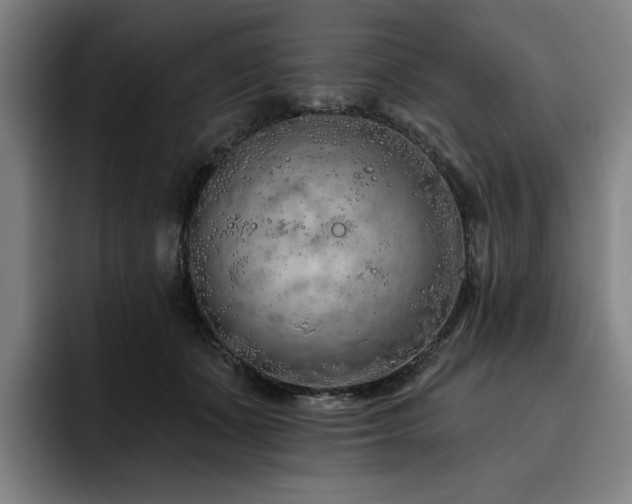 X0000093470511200710121427