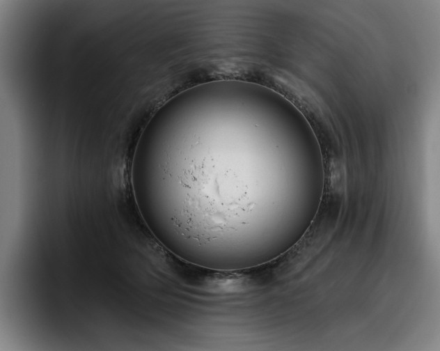 X0000093470514200710121427