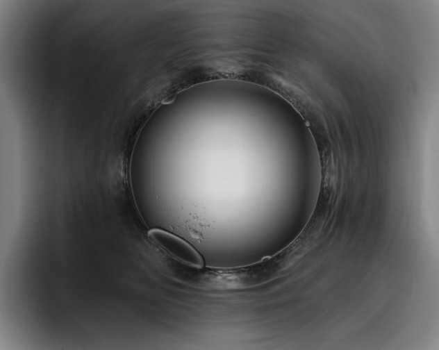 X0000093470518200710121427