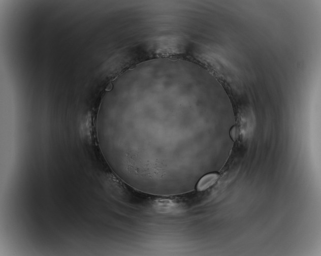 X0000093470519200710121427