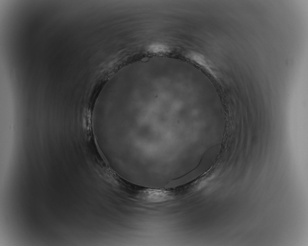 X0000093470528200710121427