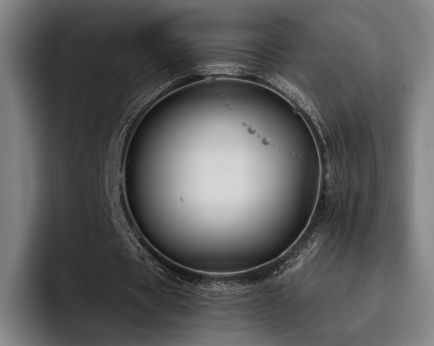X0000093470529200710121427