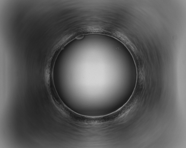 X0000093470533200710121427