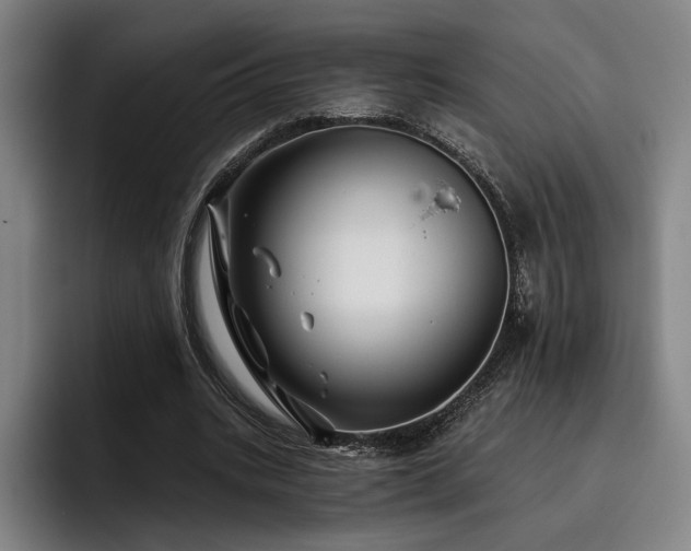 X0000093470535200710121427