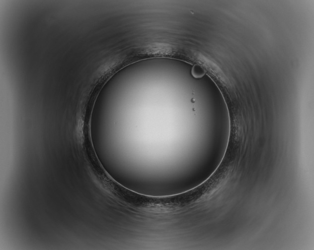 X0000093470538200710121427