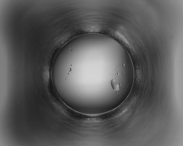 X0000093470541200710121427