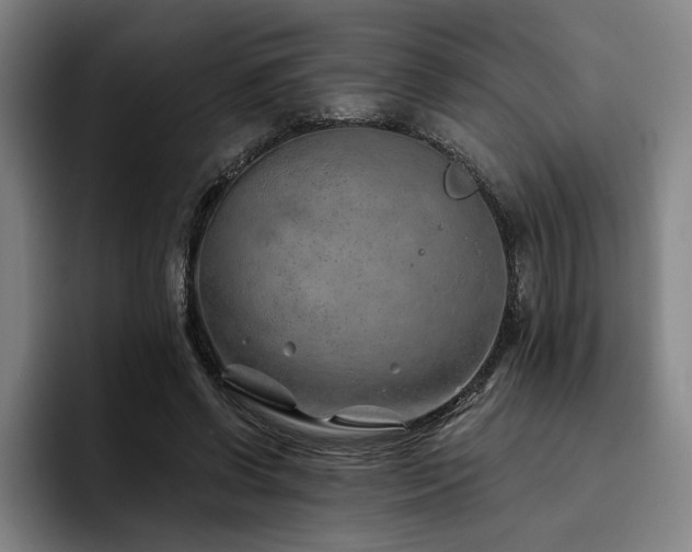 X0000093470542200710121427