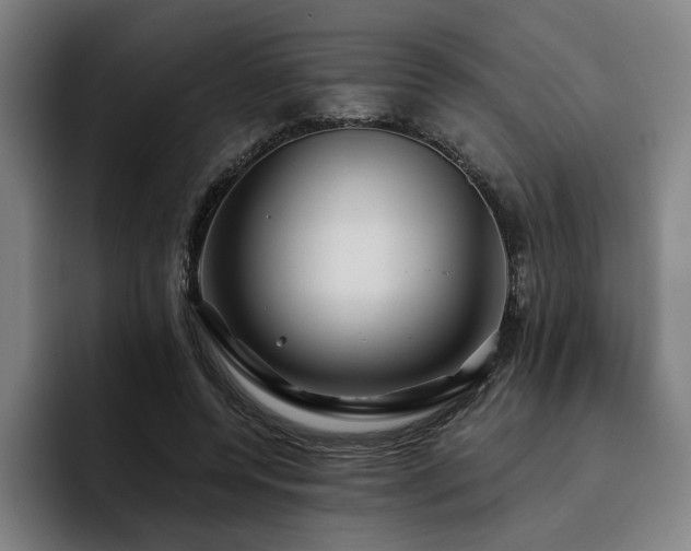 X0000093470544200710121427