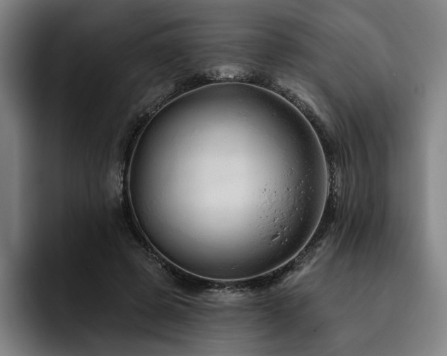 X0000093470545200710121427