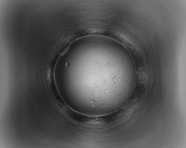 X0000093470550200710121427