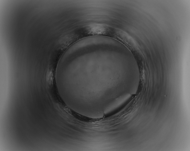 X0000093470551200710121427