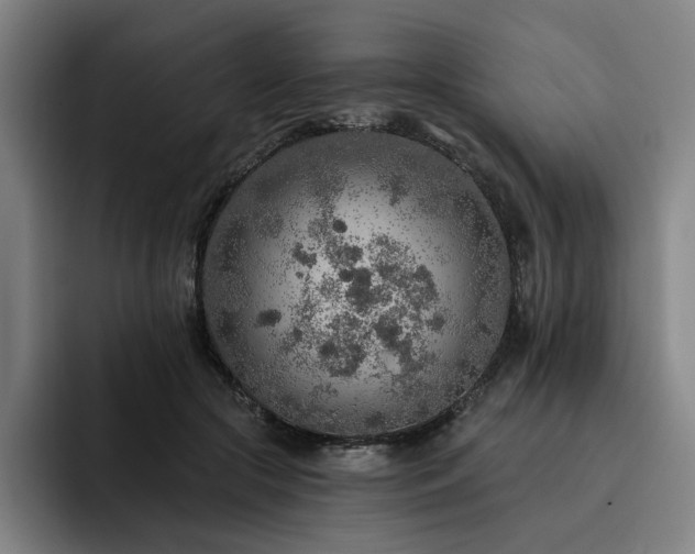 X0000093470553200710121427