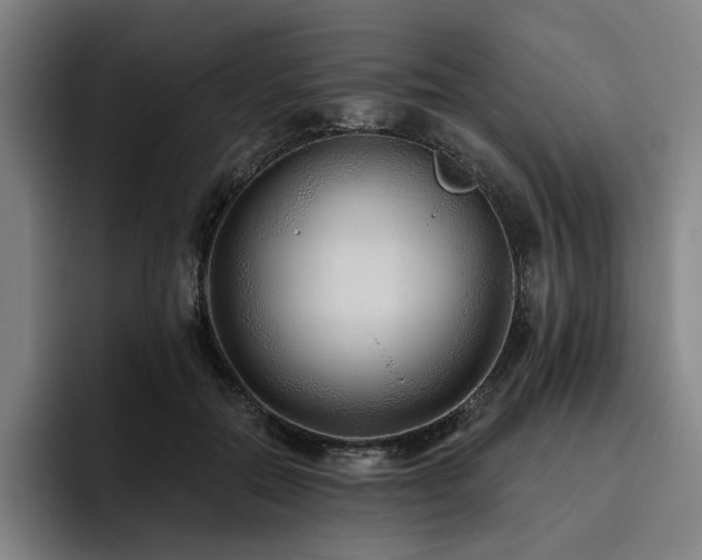 X0000093470554200710121427