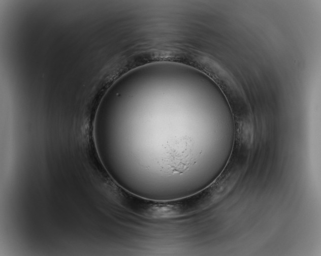 X0000093470557200710121427