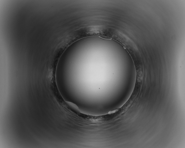 X0000093470560200710121427