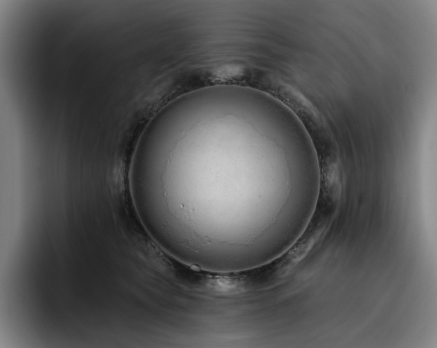 X0000093470565200710121427