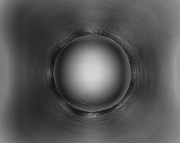 X0000093470566200710121427