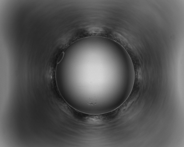 X0000093470567200710121427