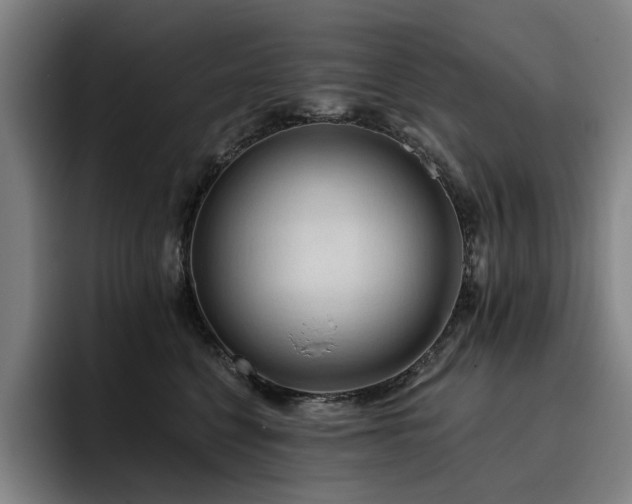 X0000093470568200710121427
