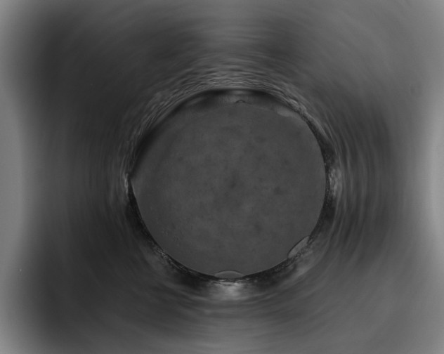 X0000093470570200710121427