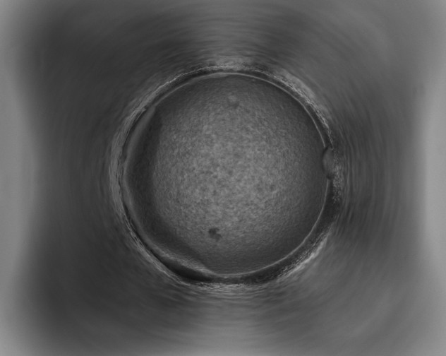 X0000093470577200710121427
