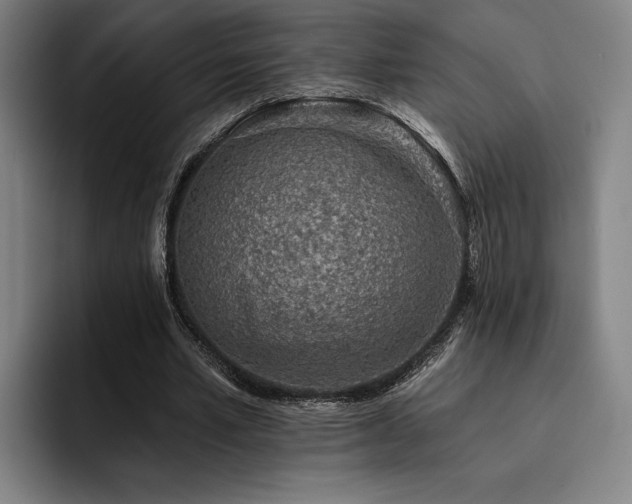 X0000093470581200710121426